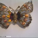Beautiful Butterfly  Brooch