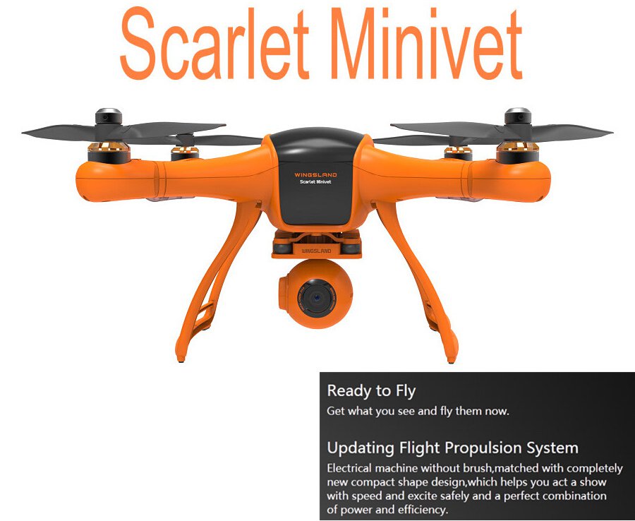 Wingsland Scarlet Minivet 5.8G FPV With HD Camera RC Quadcopter