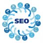 45 Days SEO