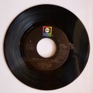 Bo Donaldson & The Heywoods, "Who Do You Think You Are"