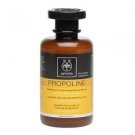 Apivita Shampoo for Dry-Dehydrated Hair 250ml