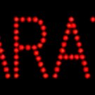 9.5" x 19" Bail Bonds LED Sign
