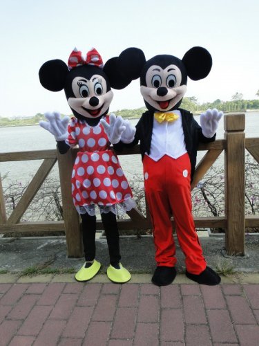 Mickey & Minnie Mouse Character Adult Mascot Costumes Pair
