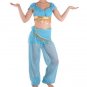 Adult Cosplay Aladdin Princess Jasmine Costume Dress