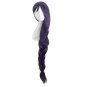 Purple with Big Long Braid Wig Costume Character Synthetic Hair Wig Halloween