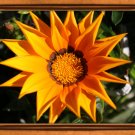 Flower003