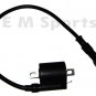 ATV QUAD Ignition Coil Magneto Parts 150 200cc 250cc TAOTAO ROKETA YERFDOG BAJA