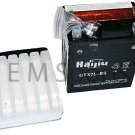 Chinese Scooter Moped 50cc 60cc 80cc 125cc 250cc 12V Battery 7ah Parts GTX7L-BS