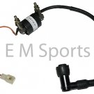 80cc Dirt Pit Bike Ignition Coil Module Magneto Parts For Yamaha PW80 02-06