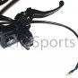 Atv Quad Rear Hydrauilc Caliper w Disk 110cc 125cc TAOTAO ROKETA KAZUMA BAJA