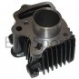 Dirt Pit Bike 1P39FMB Engine Motor Cylinder Kit with Piston and Rings 49cc 50cc