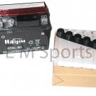 Atv Quad 12 Volt Battery 4ah 110cc BMS YS 110 Spider YX Owl Eye Cat Eye PREMIUM