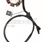 Chinese Atv Quad 8 Pole Stator Alternator 150cc COOLSTER 3150B 3150A 3150D Parts