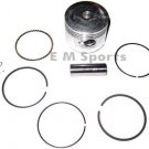Piston Kit w Rings Parts For 49cc 50cc Atv Quad BAJA WILDERNESS TRAIL 50 WD50-U
