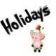 z - T-shirts, Holidays - seasonal