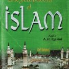International Encyclopaedia Of Islam (Faith In Islam), Vol. 2Nd