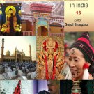 Encyclopaedia Of Art And Culture In India (Gujarat) 15Th Volume