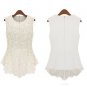 Lace Blouse Women Vintage Chiffon Shirt Top Ladies Wear