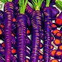 500 pcs Authentic Purple Dragon Carrot seeds