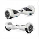 Two Wheel Electric Skateboard Scooter Style