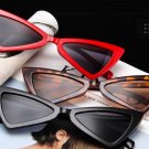 Free shipping Triangle cat eye Women Wear Sunglasses 2018
