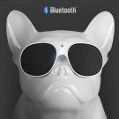 Wireless Speaker Bulldog Bluetooth Speaker Aerobull Nano Wireless Bluetooth Speaker