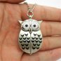 Retro Bronze Night Owl Wing Necklace Pendant Quartz Chain Women Pocket Watch A