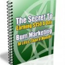 $150 A Day Bum Profit