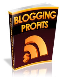 Newbie's Guide To Blogging For Profit