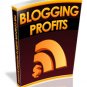 Newbie's Guide To Blogging For Profit