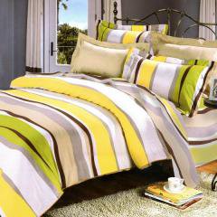 Springtime 100% Cotton 4PC Comforter Cover/Duvet Cover Combo (Full Size)