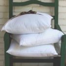 Gold Plus HYPOALLERGENIC PILLOW Standard -NEW