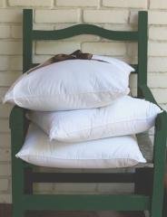 Gold Plus HYPOALLERGENIC PILLOW Standard -NEW