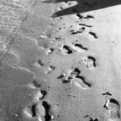 Foot Steps in Durban S. Africa