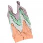 Rhonda Shear 4Pc Original Ahh Bra 1X