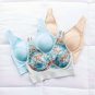 Rhonda Shear 3-pack Mesh Front Leisure Bra X LARGE