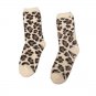 CHARTER CLUB Women's Butter Socks Animal Print Set of 3