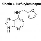 25 grams- Kinetin 6-Furfurylaminopurine 98% guaranteed purity