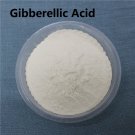 50g Gibberellic acid GA3 >=90% CAS: 77-06-5 50g Gibberellic acid GA3 >=90% CAS: 77-06-5