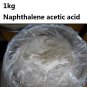 1000g Naphthalene acetic acid 98% Naphthaleneacetic NAA-NA Water Soluble