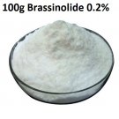 100g Brassinolide 0.2% Plant Hormone Growth Regulator CAS#78821-43-9 100g Brassinolide 0.2% Plant Hormone Growth Regulator CAS#78821-43-9