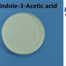 50 grams IAA Indole-3-Acetic acid Auxin 99% Plant Growth Regulator 50 grams IAA Indole-3-Acetic acid Auxin 99% Plant Growth Regulator
