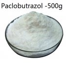 500g Paclobutrazol (PBZ) >=95% Growth Retardant CAS#: 76738-62-0 500g Paclobutrazol (PBZ) >=95% Growth Retardant CAS#: 76738-62-0