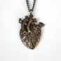 Anatomical Realistic Heart Bronze Vintage Pendant Necklace