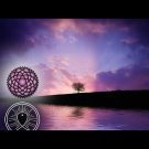 Calming Sleep 10ml Roller