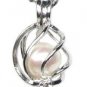 Fresh Water Pearls in Oyster