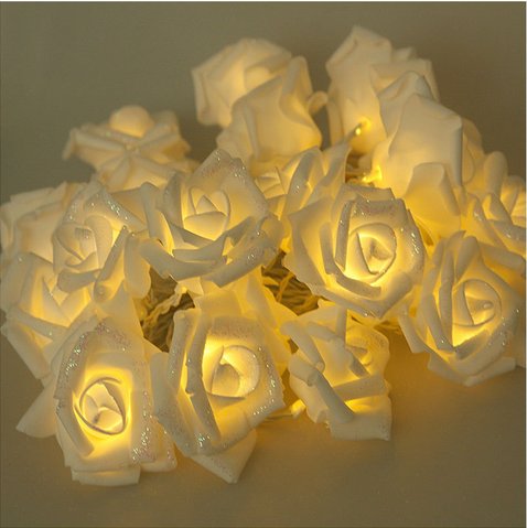 Special Design 3M 20 Rose Flowers String Lights Wedding Party Home Patio Decor Lighting (HT-56892)