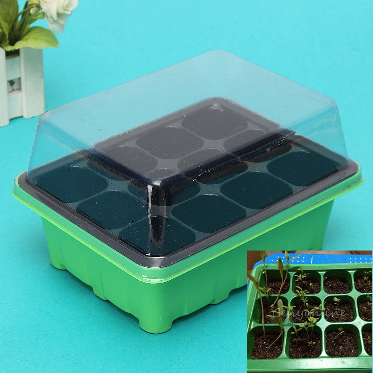 12 Cells Hole Plant Seeds Grow Box Green Tray Insert Propagation Seeding Case db