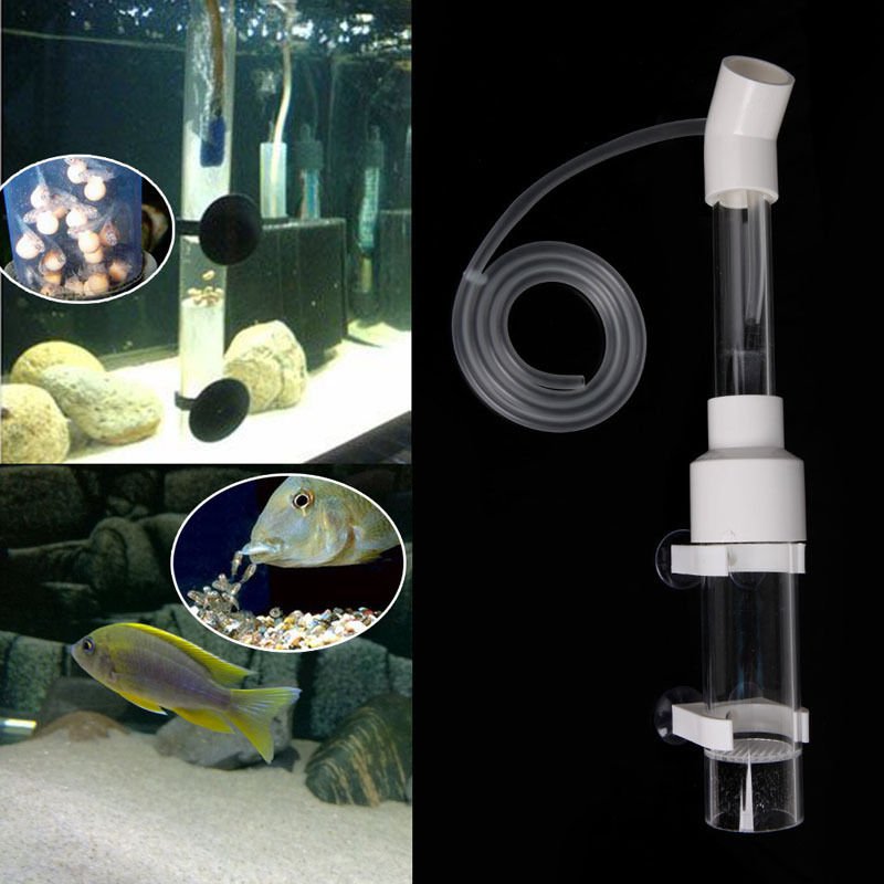 Aquarium Cichlids Tumbler Incubator Fish Hatchery Eggs Instead Mouth-Brooding dbb