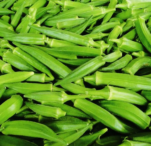 100 Okra Seeds Abelmoschus Moschatus Seed